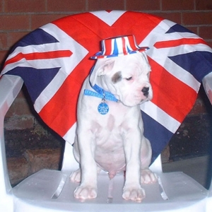 At The Queen's Golden Jubilee