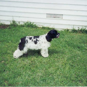 Jake checking things out