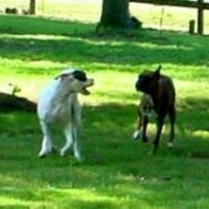 Catch me if you can!!!!!