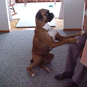 Easy sit.