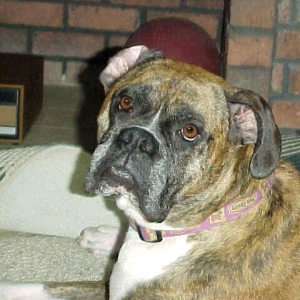 Bailey