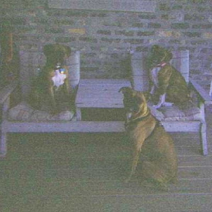 Hanging out on a warm night