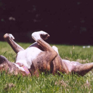 Catchin' some rays