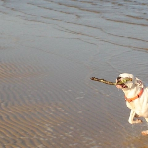 day at the beach