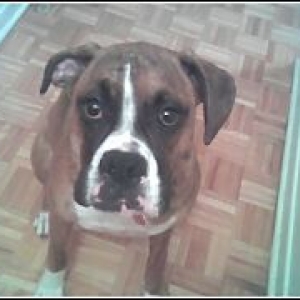 the love of my life