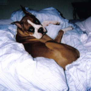 What? You want in bed?