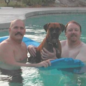 Boxer/pit mix