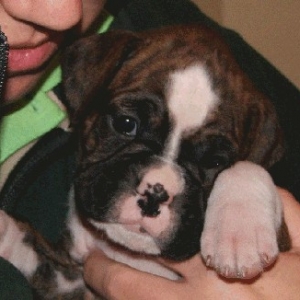 Baby Hannah