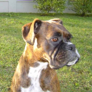 Lily posing again