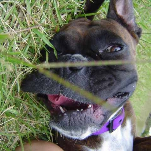 Lily being silly