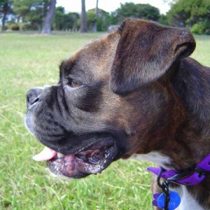 Profile at the park