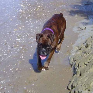 She loves the beach