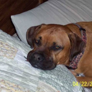 Mom, can we pleae go to sleep now
