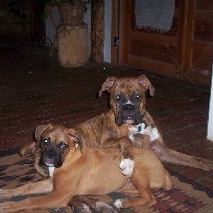 Sweethearts