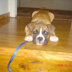 I'm waiting for someone to pick me up!