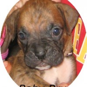baby bru 5 weeks