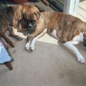 My sweeties