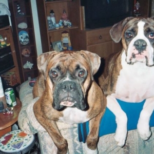 Hey, take our picture