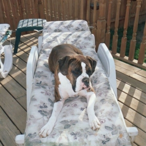 She thinks that's her lounge chair