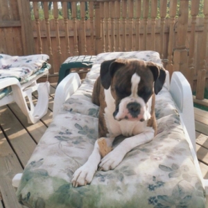 Snackin' and lounging