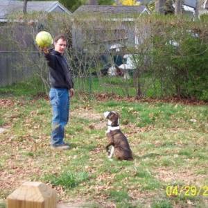 Please throw the ball