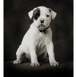 The First Portrait Session