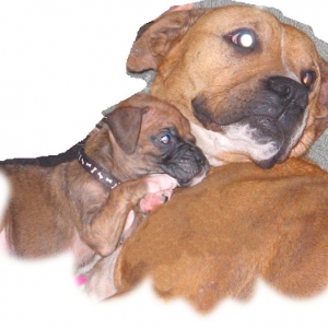 and some day you'll be as big as me...
