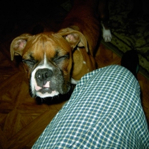 Zena