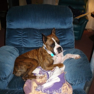 Didn't that used to be my recliner, and my lsu blanket