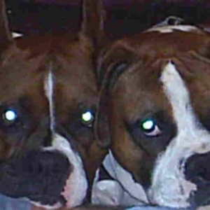 Sargent & Sidney