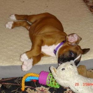 Playtime