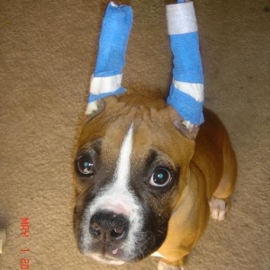 Blue is his favorite color