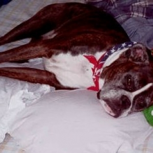 Journey and her turtle