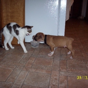 Love at first sight!
