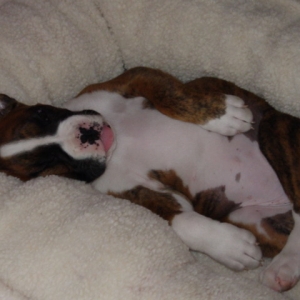 8 weeks so tired