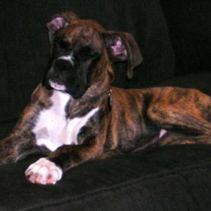 His side of the couch