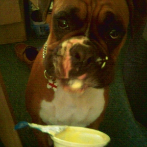 Innocent Face!