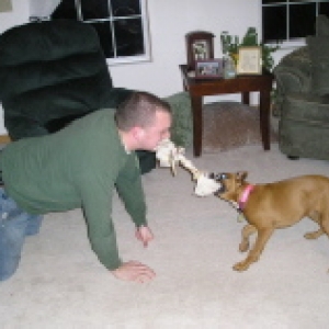 tug-o-war