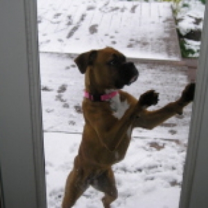 Let me in its cold