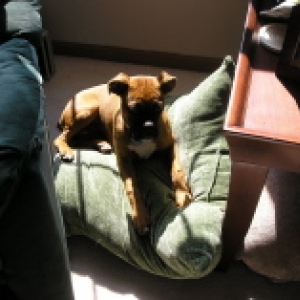 sunshine