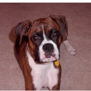 Oakley