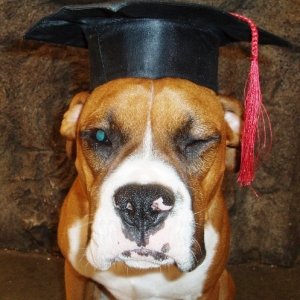 Buster's graduation