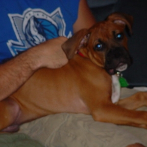 Maddox at 3 months