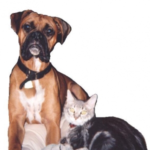 Maddox and his kitten, Peyton