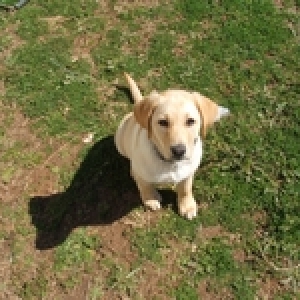 Maddy's friend, Bailey