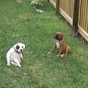 Chelsea & Angel