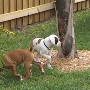 Chelsea & Angel at Play