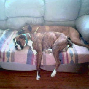 Lazy bums