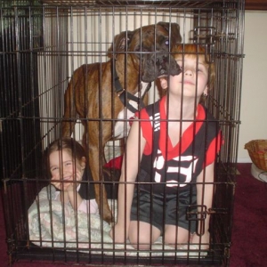 Crate Training