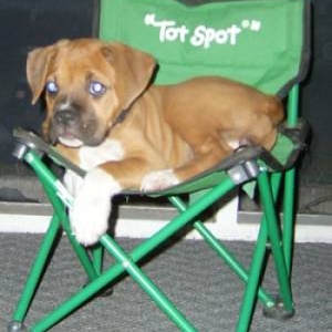 Relaxing on a chair
